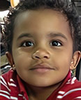 Fatal pit bull attack Jordan Collins-Tyson