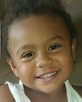 Fatal pit bull attack Lamarkus Hicks