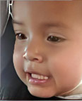Fatal pit bull attack ayden Begay
