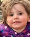Fatal pit bull attack Hunter Bragg