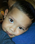 Fatal pit bull attack Jacob Brooks