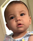 Fatal pit bull attack Liana Valino